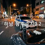 legal image 하남 음주수치0.2 3271