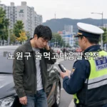 legal image 노원구 술먹고다음날운전 11973