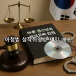 legal image 아청법 성착취영상 제작 배포 11013