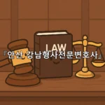 legal image 안산 강남형사전문변호사 11112